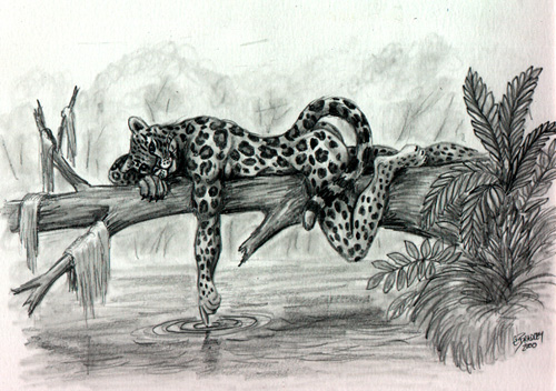 BRANCH