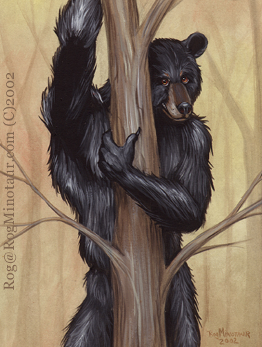 Now what does he do bare in the woods?