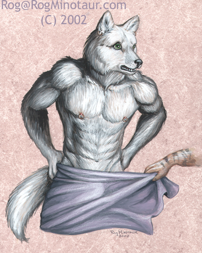 Silly Wolf Air Drying IS Faster