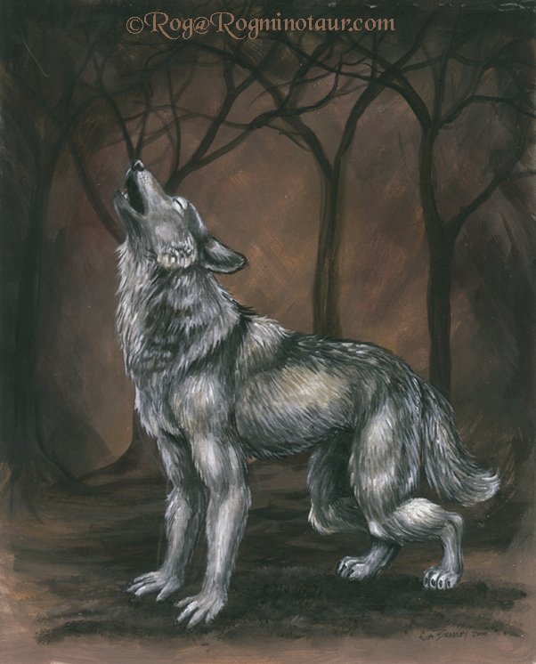 Alone in the wild this were turns partly wolf and calls for his pack.  Will you run with him?