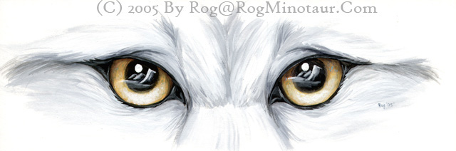 Look deep into the eyes and see what mysteries they hold.