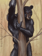Now what does he do bare in the woods?