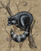 This Racoon already has all the shinies it needs