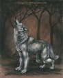 Alone in the wild this were turns partly wolf and calls for his pack.  Will you run with him?
