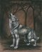 Alone in the wild this were turns partly wolf and calls for his pack.  Will you run with him?