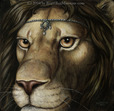 Gaze into the eyes of royal blood.  The king of all beasts.