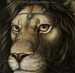 Gaze into the eyes of royal blood.  The king of all beasts.