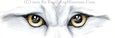 Look deep into the eyes and see what mysteries they hold.