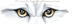 Look deep into the eyes and see what mysteries they hold.