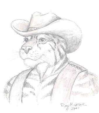 Ride 'em Cowboy!