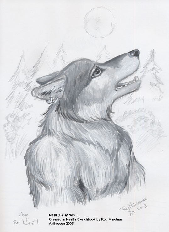 Howl for the beauty of the night