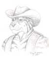 Ride 'em Cowboy!
