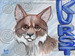 The runaway yote had his picture taken again!  If you see him email kurst at the domain pconline dot com!