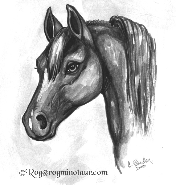 Horsebw