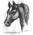 Horsebw