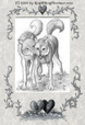 The love and friendship of the pack