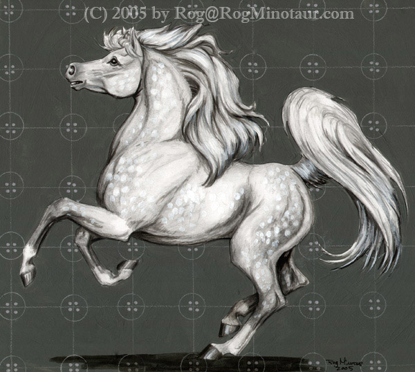 Sit and watch him canter in front of you.