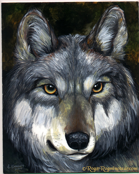 Greywolf