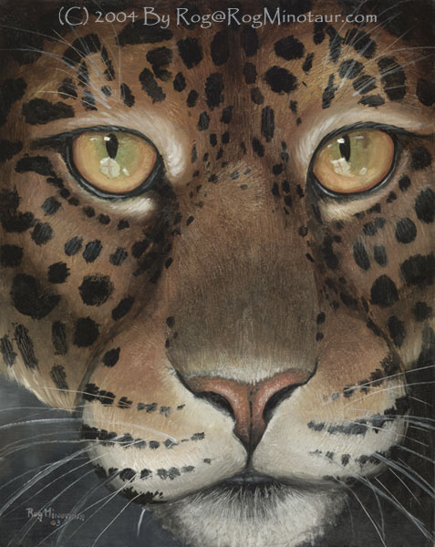 Jungle Eyes staring back at you do you notice them looking deep into your soul?