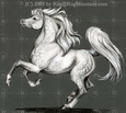 Sit and watch him canter in front of you.