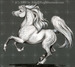 Sit and watch him canter in front of you.