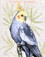 Whistle or sing this Cockatiel is a pretty bird.
