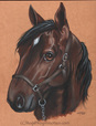 Nothing can melt a woman's heart like a horse's... ummm... face! Yeah that's it!