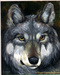 Greywolf