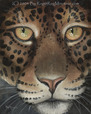 Jungle Eyes staring back at you do you notice them looking deep into your soul?